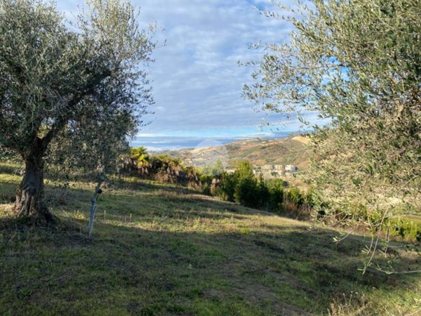 terreno agricolo in vendita a Ripatransone