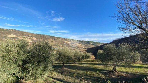 casa indipendente in vendita a Ripatransone