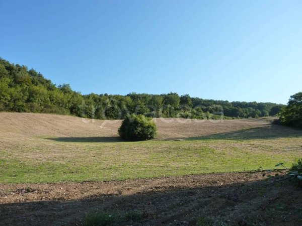 terreno agricolo in vendita a Ripatransone in zona San Savino