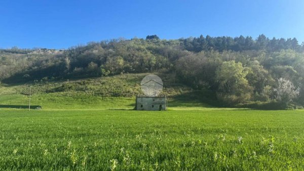 appartamento in vendita a Ripatransone
