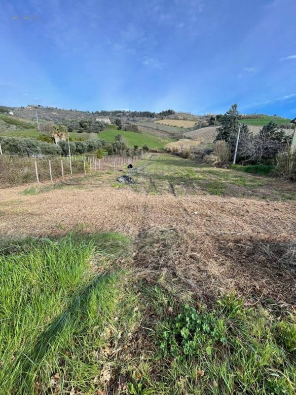 terreno agricolo in vendita a Ripatransone