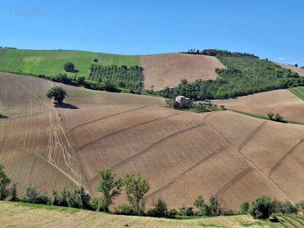terreno agricolo in vendita a Ripatransone in zona San Savino