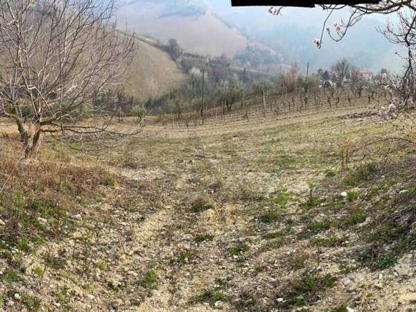 terreno agricolo in vendita a Ripatransone