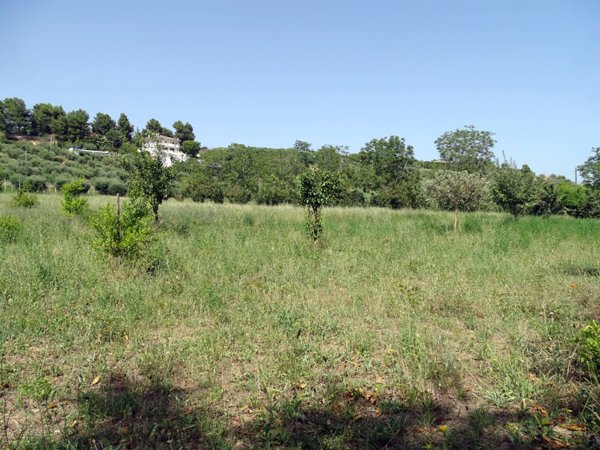casa indipendente in vendita a Ripatransone