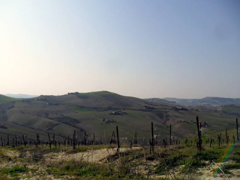 rudere in vendita a Ripatransone
