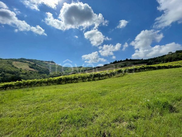 casa indipendente in vendita a Ripatransone
