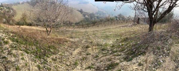 terreno agricolo in vendita a Ripatransone
