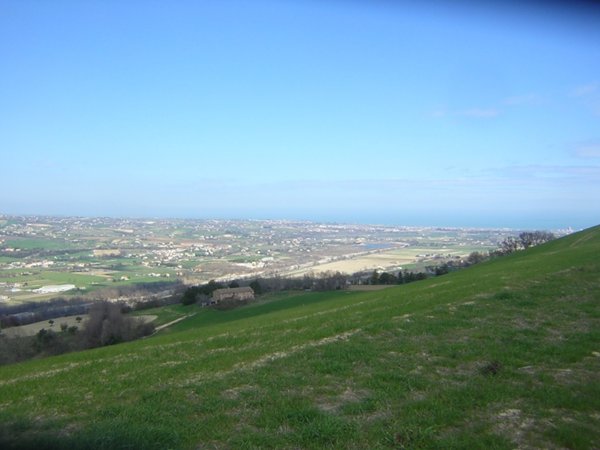 terreno agricolo in vendita a Ripatransone