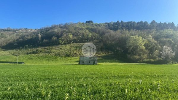quadrivano in vendita a Ripatransone