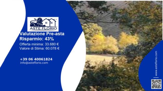 terreno agricolo in vendita a Ripatransone