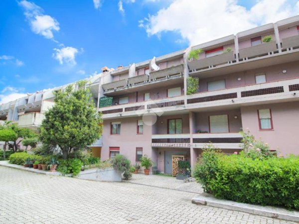 appartamento in vendita a Ripatransone