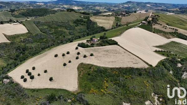 terreno agricolo in vendita a Ripatransone