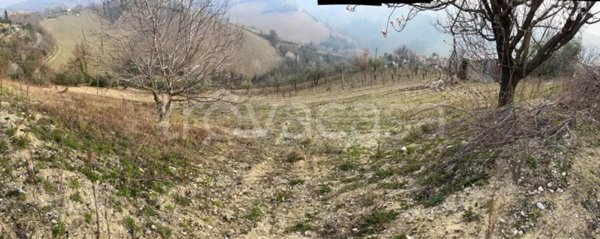 terreno agricolo in vendita a Ripatransone
