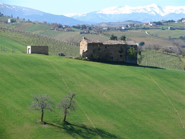 casale in vendita a Ripatransone