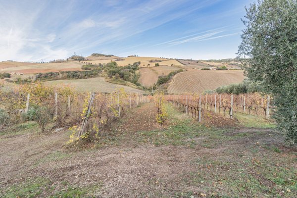 terreno agricolo in vendita a Ripatransone in zona San Savino