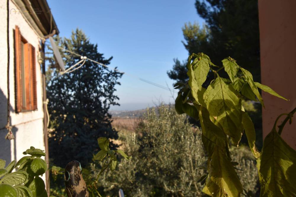 casa indipendente in vendita a Ripatransone