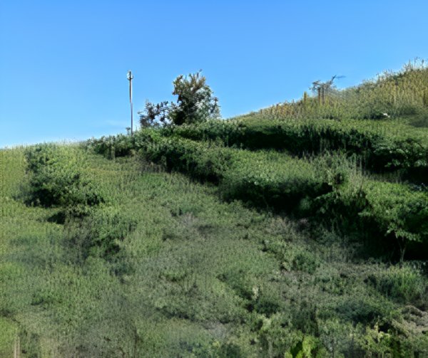 casa indipendente in vendita a Ripatransone