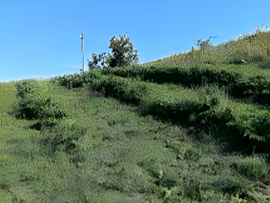 mansarda in vendita a Ripatransone