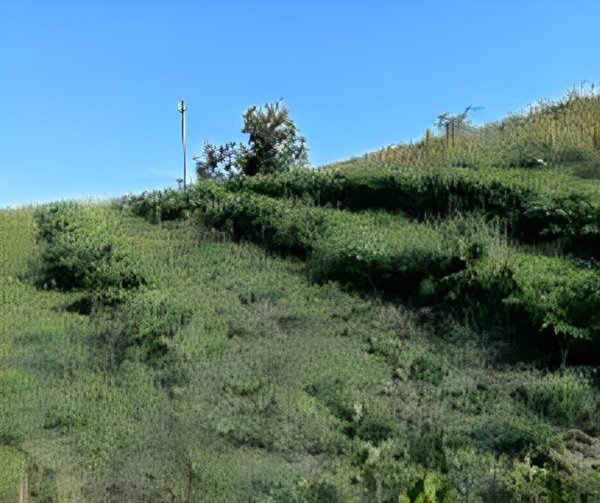 casa indipendente in vendita a Ripatransone