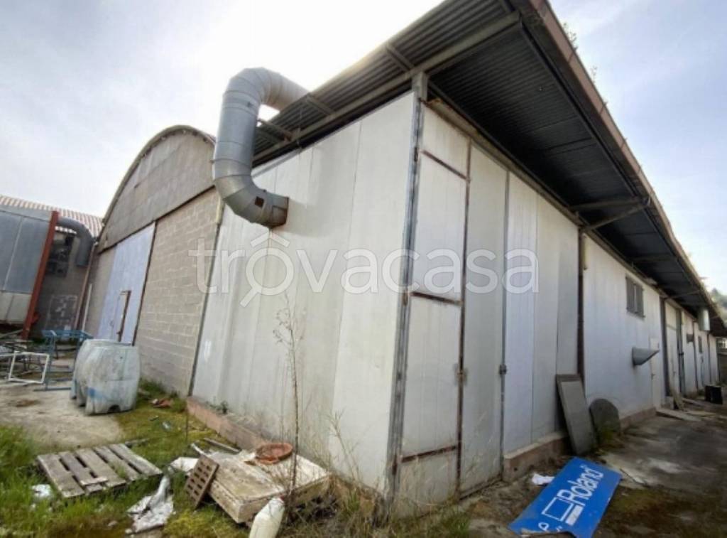 capannone in vendita a Ripatransone