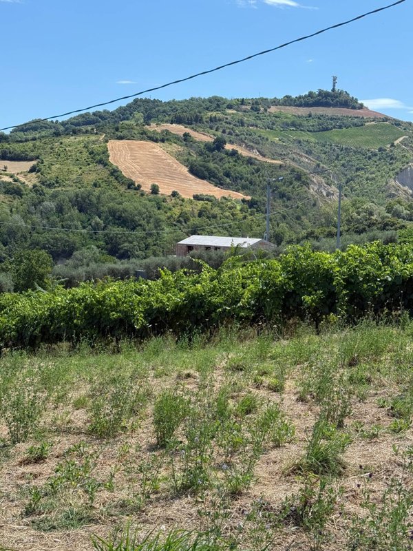 immagine annuncio 0 di 10