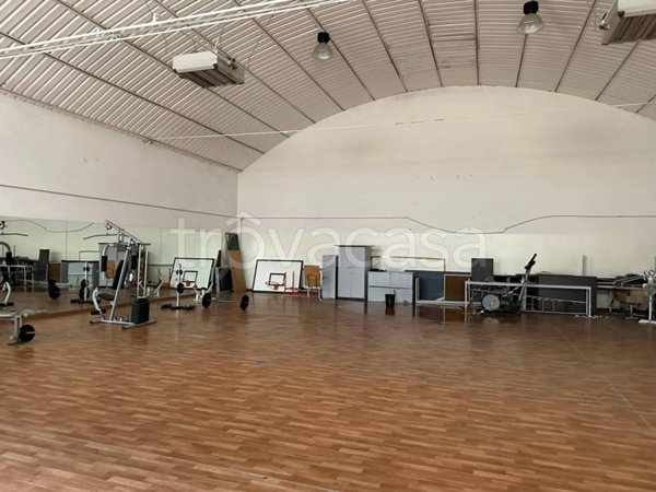 appartamento in vendita a Ripatransone