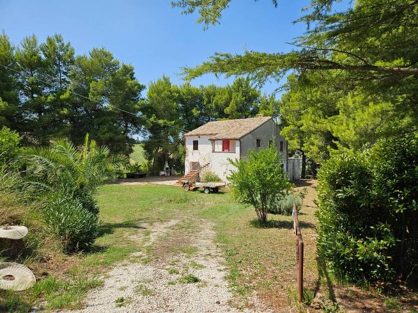 casa indipendente in vendita a Ripatransone