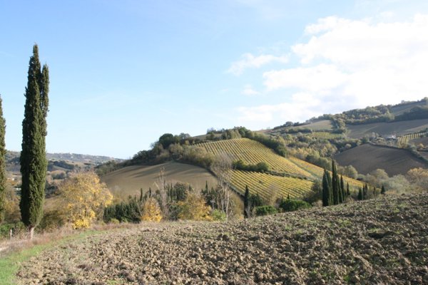 casa indipendente in vendita a Ripatransone