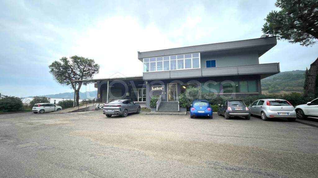 negozio in vendita a Ripatransone