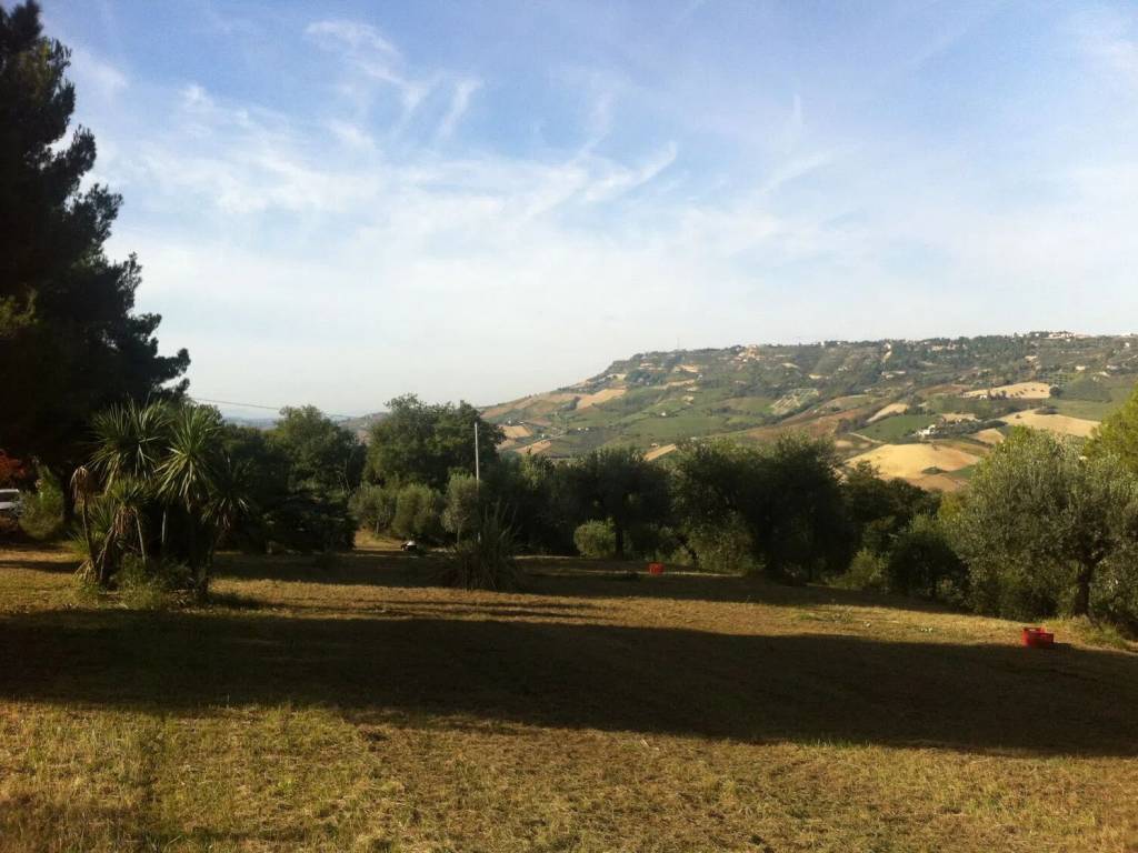 terreno agricolo in vendita a Ripatransone