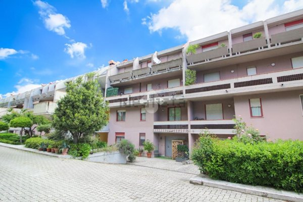 appartamento in vendita a Ripatransone