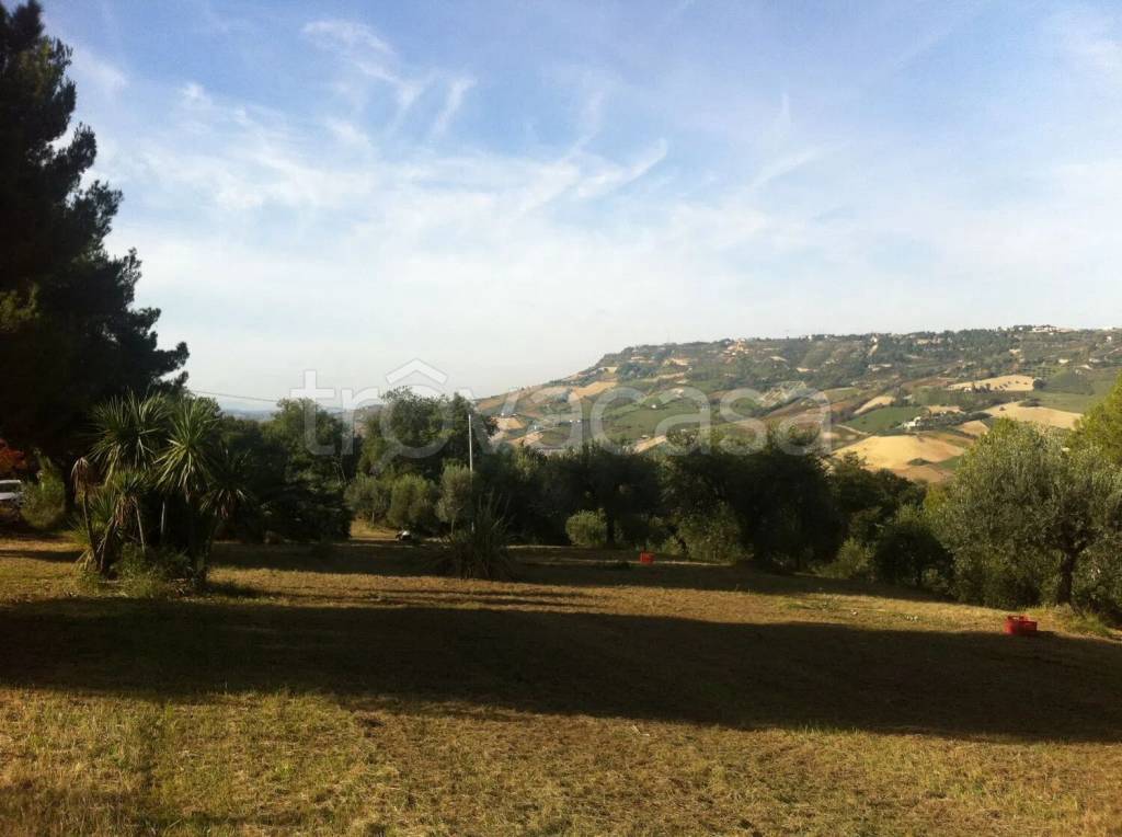 terreno agricolo in vendita a Ripatransone