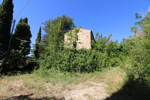 appartamento in vendita a Ripatransone