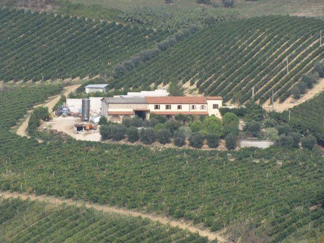azienda agricola in vendita a Ripatransone