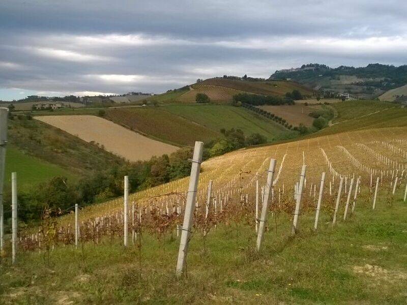 casa indipendente in vendita a Ripatransone