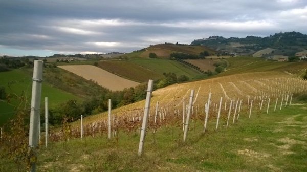 casa indipendente in vendita a Ripatransone