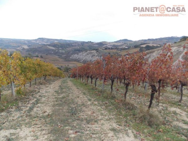 casa indipendente in vendita a Ripatransone in zona Trivio