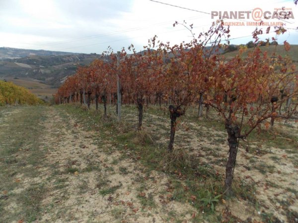 casa indipendente in vendita a Ripatransone in zona Trivio