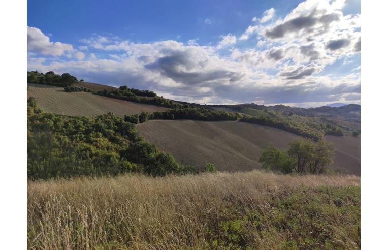 terreno agricolo in vendita a Ripatransone in zona San Savino