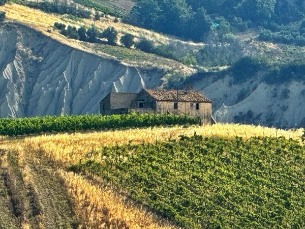 casa indipendente in vendita a Ripatransone