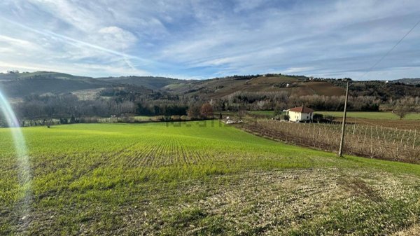 terreno agricolo in vendita a Ripatransone