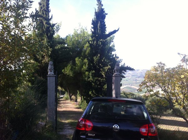 terreno agricolo in vendita a Ripatransone