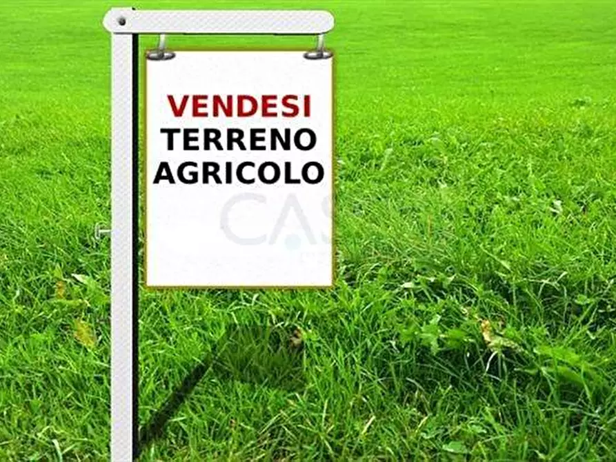 terreno agricolo in vendita a Ripatransone in zona San Savino