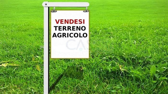 terreno agricolo in vendita a Ripatransone in zona San Savino