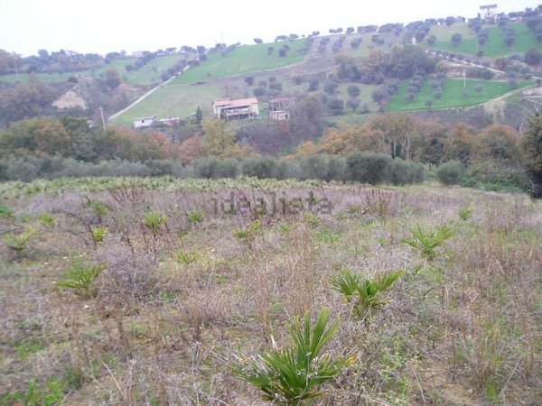 casa indipendente in vendita a Ripatransone