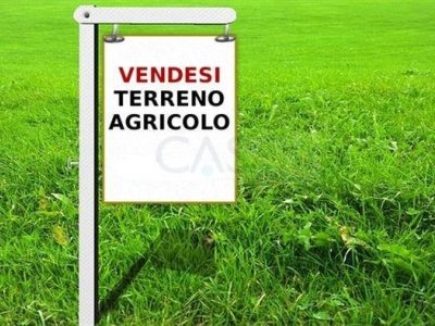 terreno agricolo in vendita a Ripatransone in zona San Savino