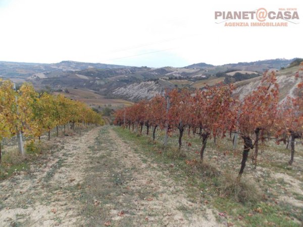 terreno agricolo in vendita a Ripatransone in zona Trivio