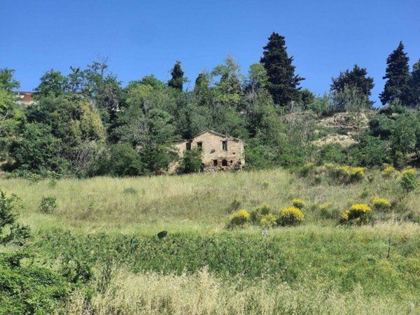 casa indipendente in vendita a Ripatransone in zona Petrella