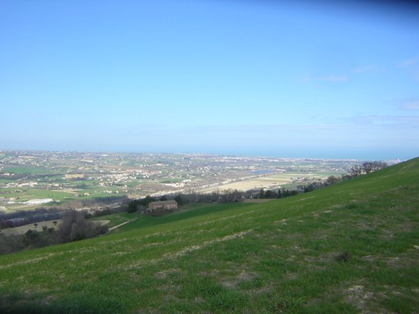 terreno agricolo in vendita a Ripatransone