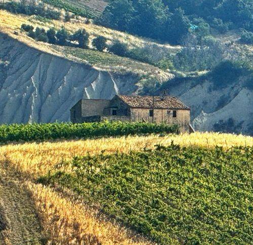 casa indipendente in vendita a Ripatransone